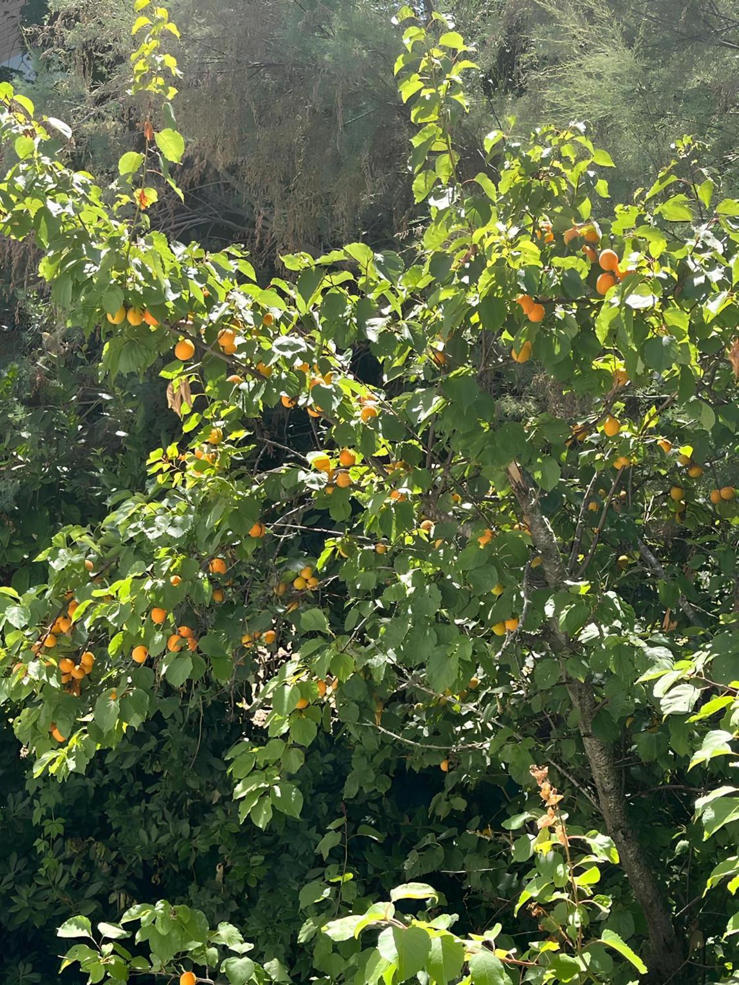 Villetta Panoramica Con Giardino A Riccione Kültér fotó