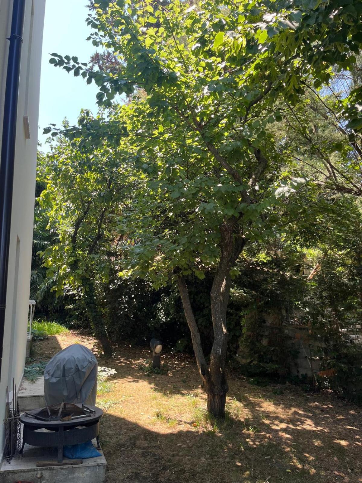 Villetta Panoramica Con Giardino A Riccione Kültér fotó