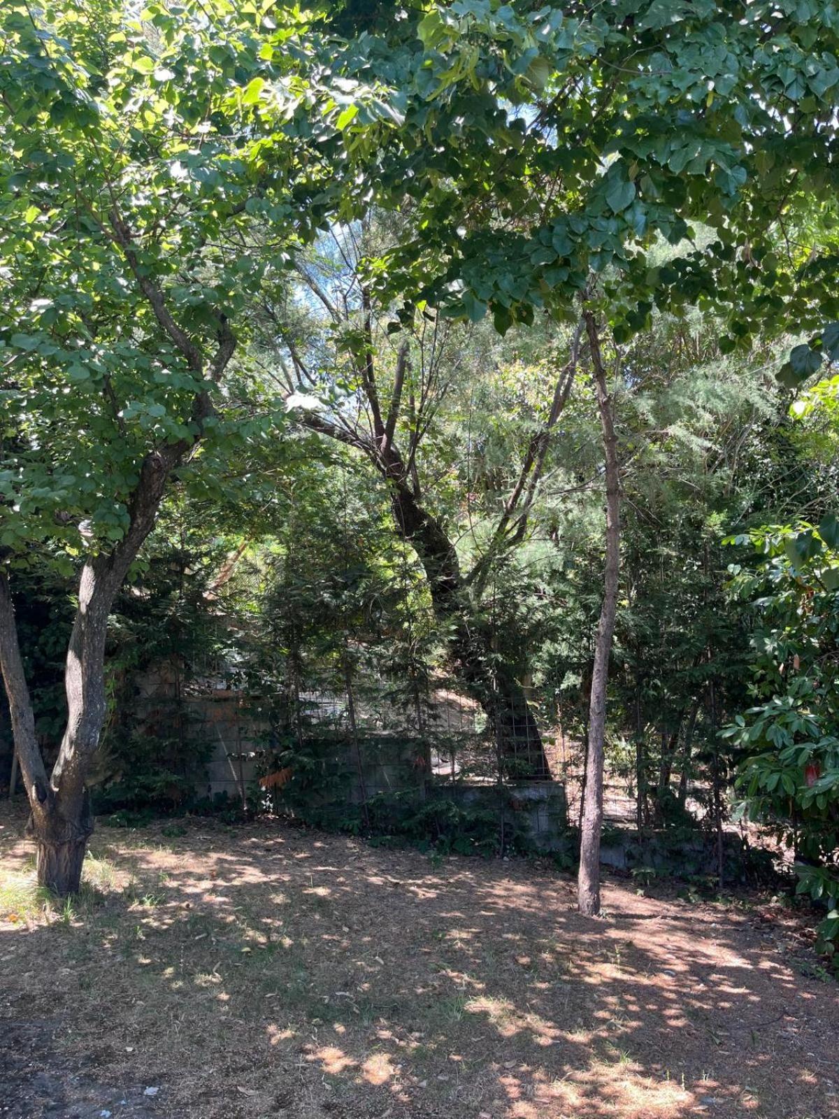 Villetta Panoramica Con Giardino A Riccione Kültér fotó